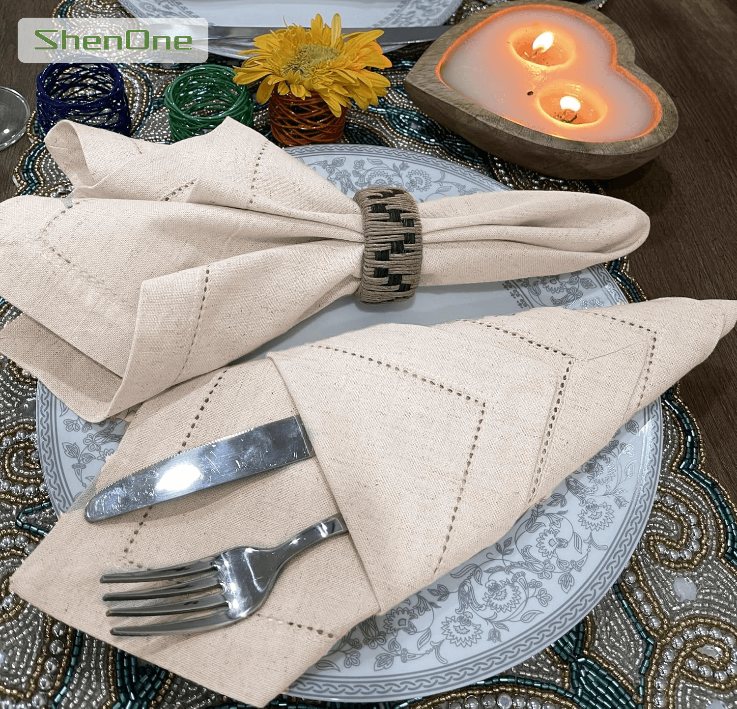 sncy-0038 Image 4