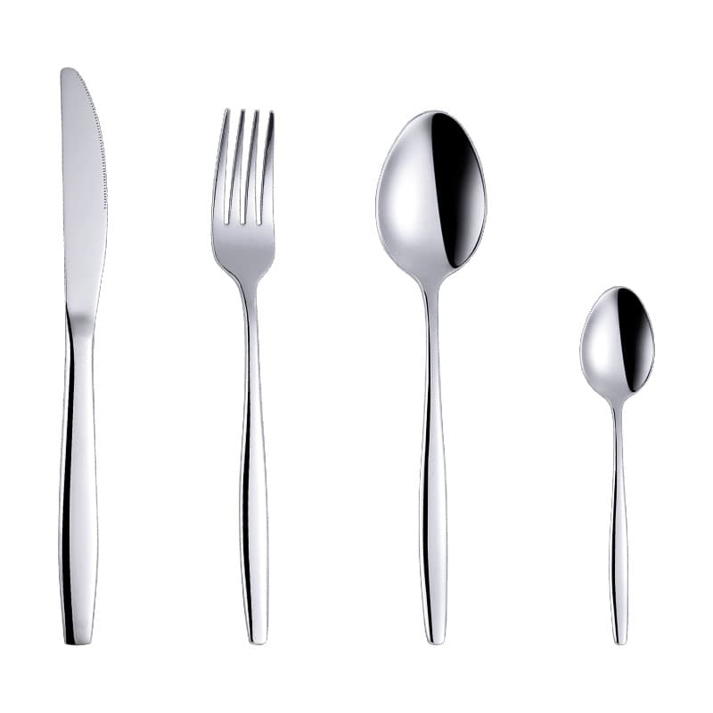 304 Stainless Steel Cutlery Set SNBXG-00199